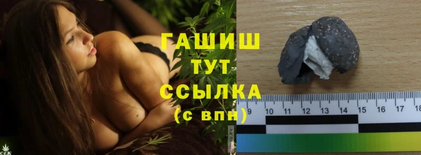 PSILOCYBIN Алзамай