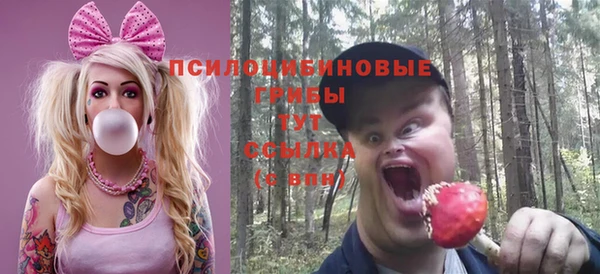 Альфа ПВП Лихославль