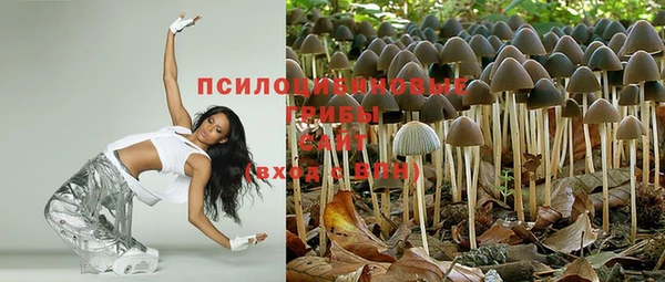 PSILOCYBIN Алзамай