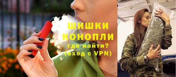 PSILOCYBIN Алзамай