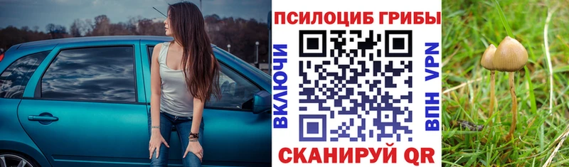 Псилоцибиновые грибы мицелий Калининград