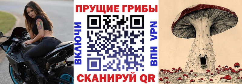 Галлюциногенные грибы мухоморы  купить  сайты  Калининград 