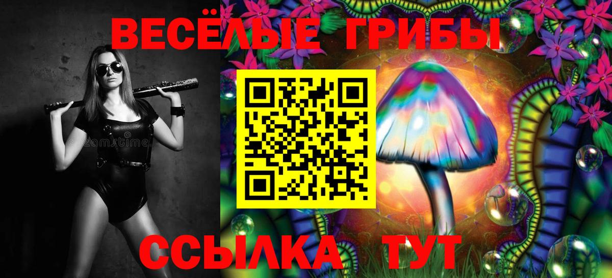 Псилоцибиновые грибы Cubensis  Галлюциногенные грибы MAGIC MUSHROOMS  Вход с VPN  Калининград 