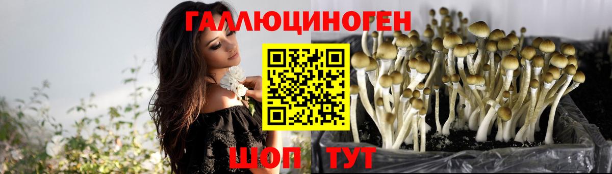 Галлюциногенные грибы мухоморы Калининград
