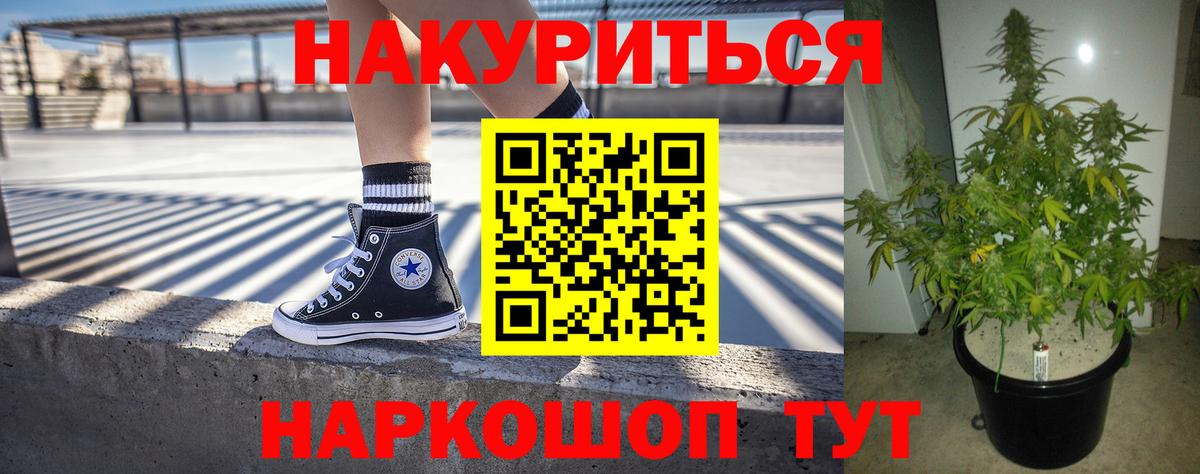 Каннабис OG Kush Калининград